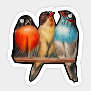 Hipster Birds Sticker